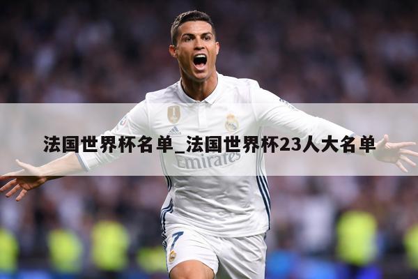 法国世界杯名单_法国世界杯23人大名单