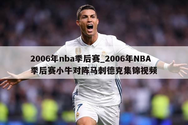 2006年nba季后赛_2006年NBA季后赛小牛对阵马刺德克集锦视频