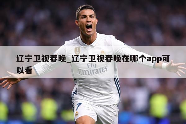 辽宁卫视春晚_辽宁卫视春晚在哪个app可以看