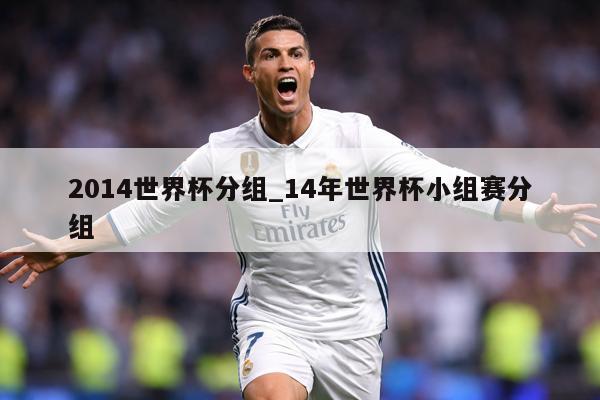 2014世界杯分组_14年世界杯小组赛分组