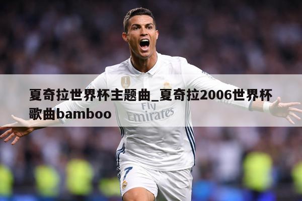 夏奇拉世界杯主题曲_夏奇拉2006世界杯歌曲bamboo