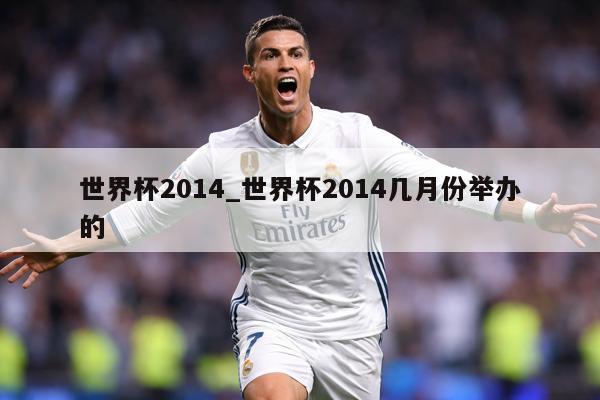 世界杯2014_世界杯2014几月份举办的